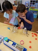 1st Grade Learns Stem
