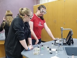Mrs. DiMaria's class in the lab