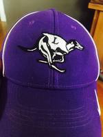 LJHS Baseball News